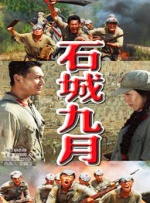 国产精品二区在线